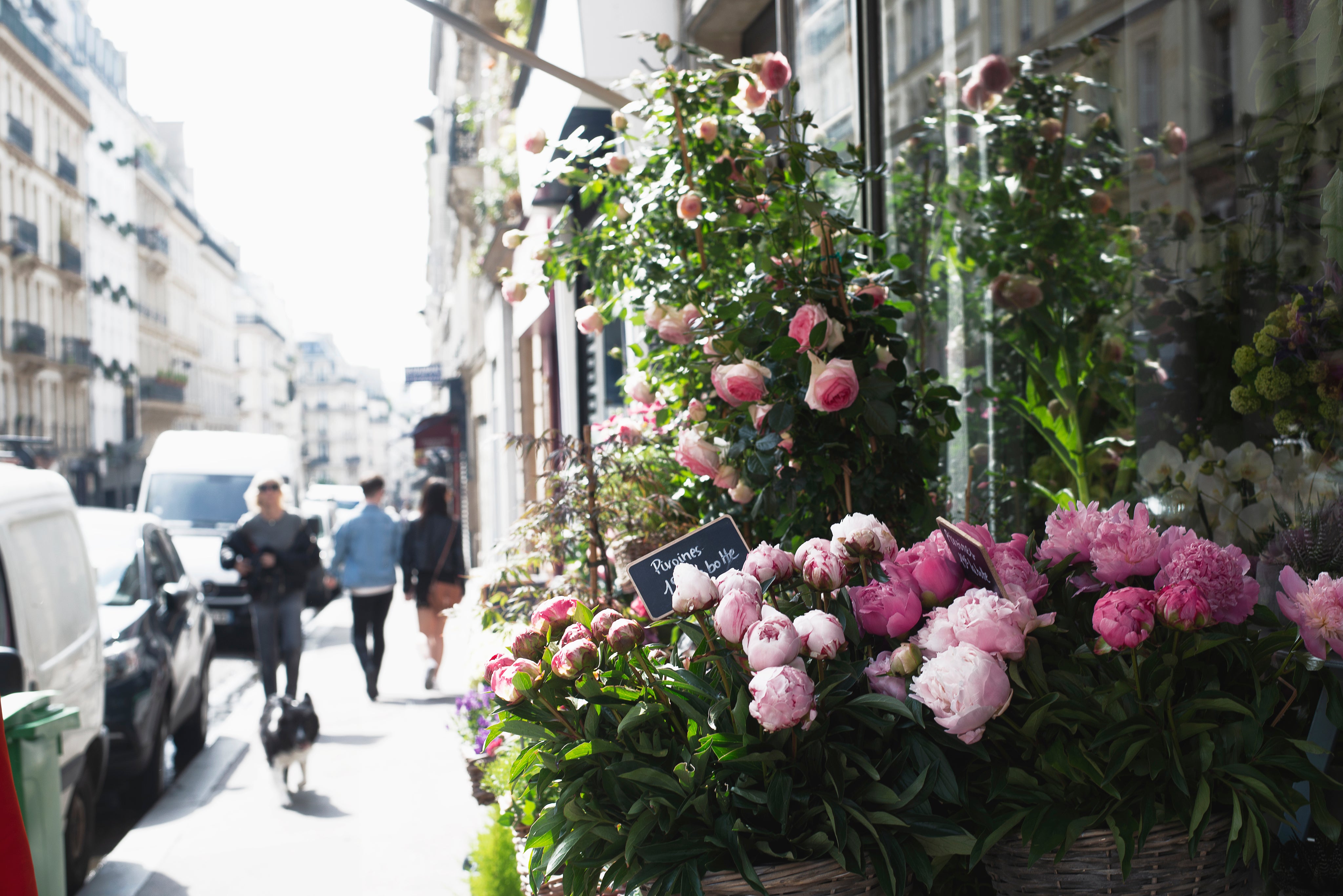 pink-roses-and-peonies-outside-a-flower-shop-in-paris.jpg