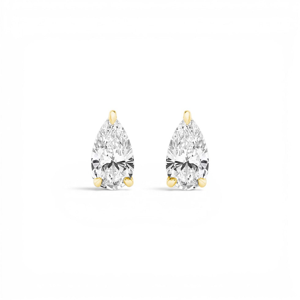 ear-stu-py_hero_b7040ec7-8e6d-452c-969e-dd5b77ac1d0c.jpg